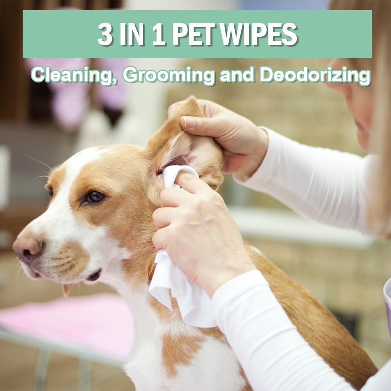Pet & Dental Wipes for Dogs & Cats - Grooming & Cleaning Essentials